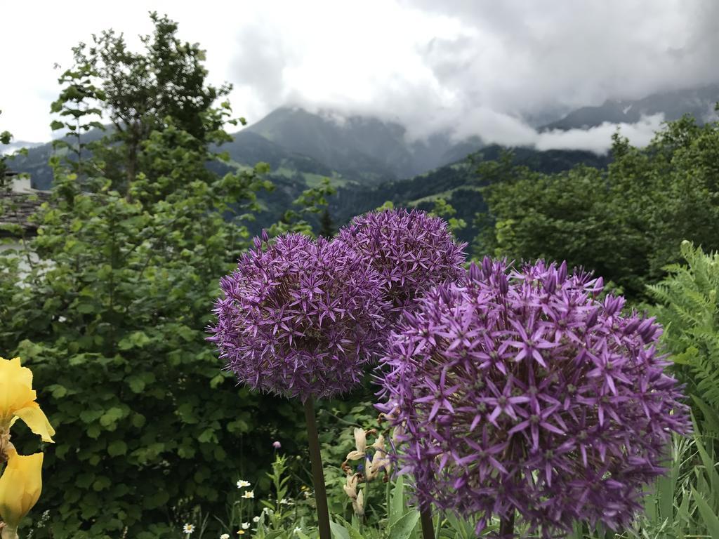 Ferienwohnung Laax Mit Traumblick, Grossem Balkon Und Terrasse Εξωτερικό φωτογραφία